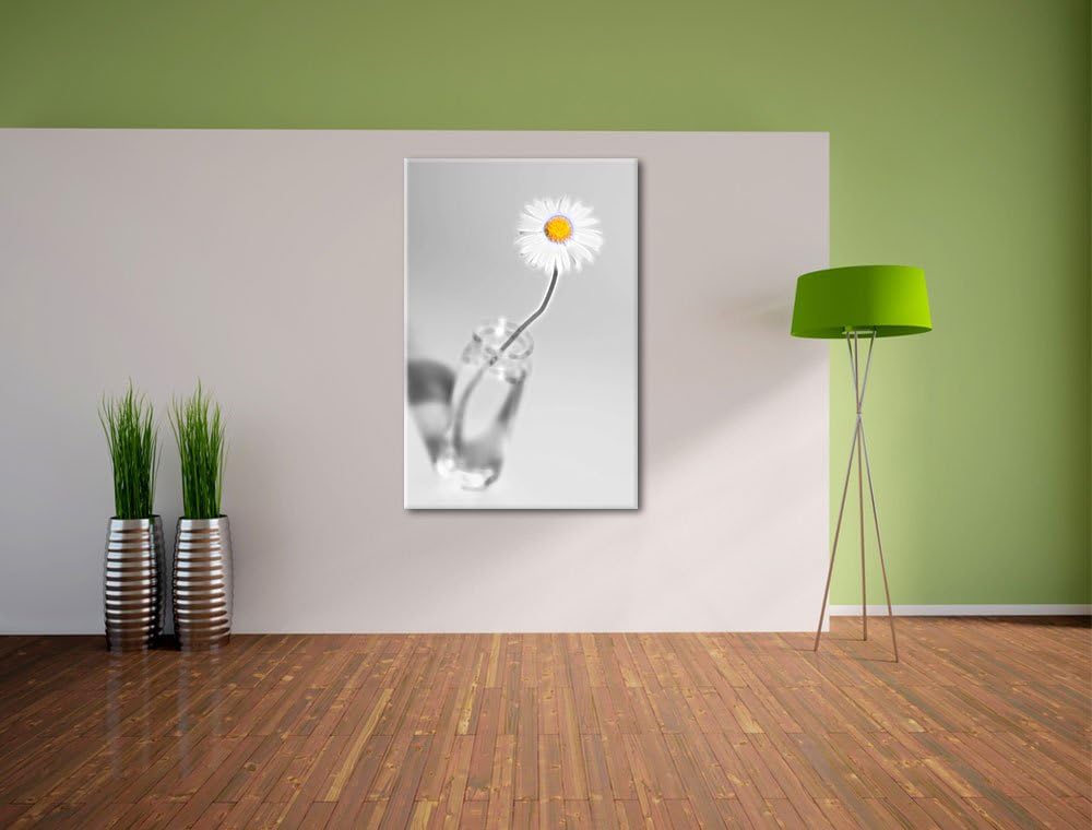 zartes Gänseblümchen im stilvollen Glas schwarz/weiss Deluxe Format: 100x70 cm auf Leinwand, XXL rie