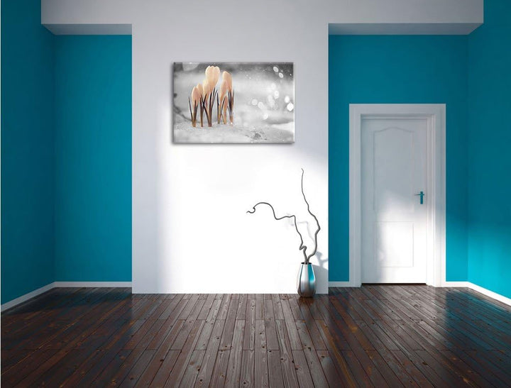 Pixxprint Schneeglöckchen im Frühjahr als Leinwandbild/Grösse: 100x70 cm/Wandbild/Kunstdruck/fertig