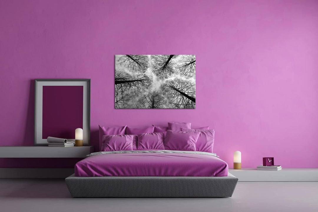deyoli riessige Baumkronen im Herbst Format: 80x60 als Leinwand, Effekt: Schwarz&Weiss, Motiv fertig