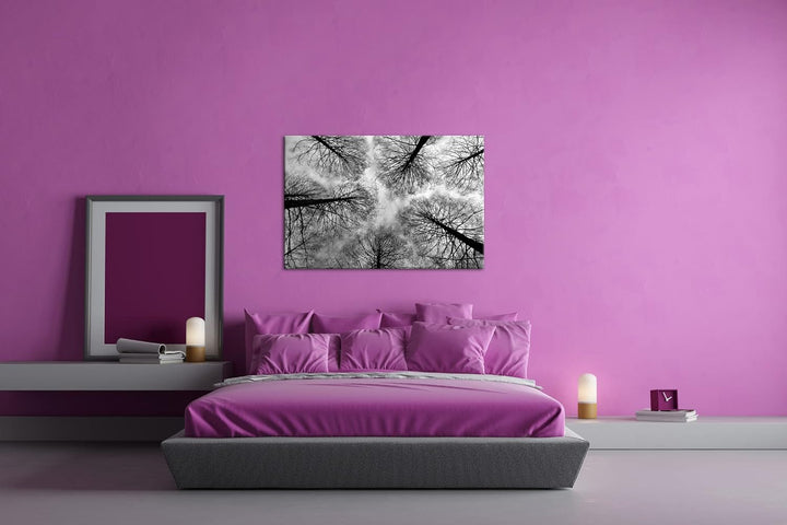 deyoli riessige Baumkronen im Herbst Format: 80x60 als Leinwand, Effekt: Schwarz&Weiss, Motiv fertig
