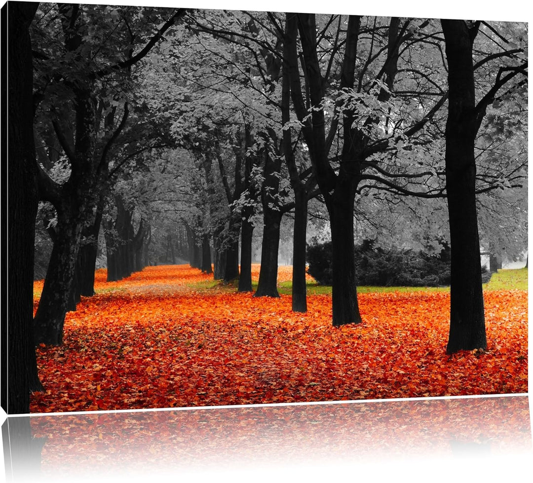 schöner Waldweg im Herbst schwarz/weiss Format: 100x70 auf Leinwand, XXL riesige Bilder fertig gerah