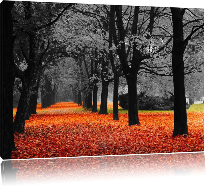 schöner Waldweg im Herbst schwarz/weiss Format: 100x70 auf Leinwand, XXL riesige Bilder fertig gerah