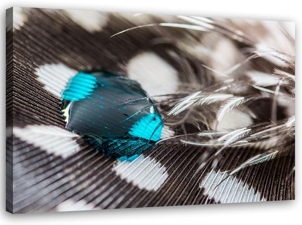 Feeby Wanddeko Wassertropfen Leinwandbild Kunstdruck abstrakt Braun 100x70 cm M14229 100x70 cm, M142