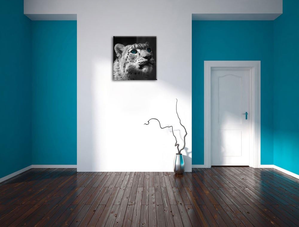 Pixxprint Schneeleopard Augen als Leinwandbild Quadratisch/Grösse: 70x70 / Wandbild/Kunstdruck/ferti