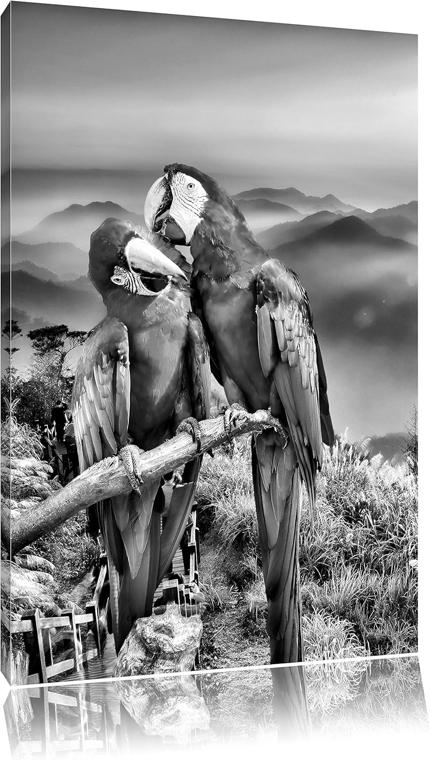 Papageien Pärchen als Leinwandbild/Grösse: 100x70 / Wandbild/Kunstdruck/fertig bespannt, 100x70