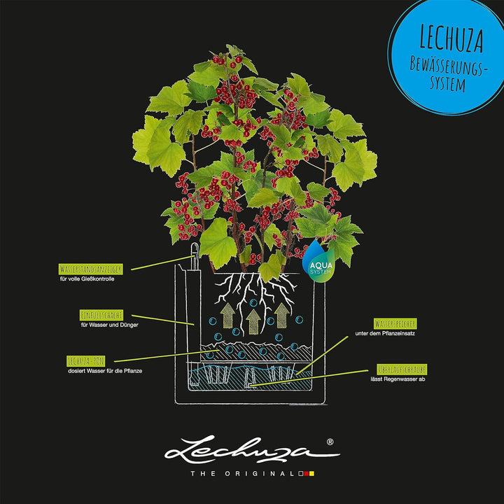 LECHUZA PILA Color Planter korallrot 15908 35x35x33 cm Korallrot, 35x35x33 cm Korallrot