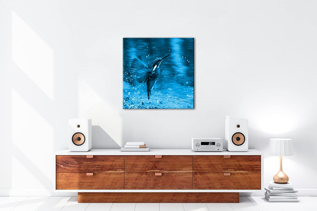 deyoli Fliegender Eisvögel Format: 70x70 Effekt: Monocrome Blau als Leinwandbild, Motiv fertig gerah