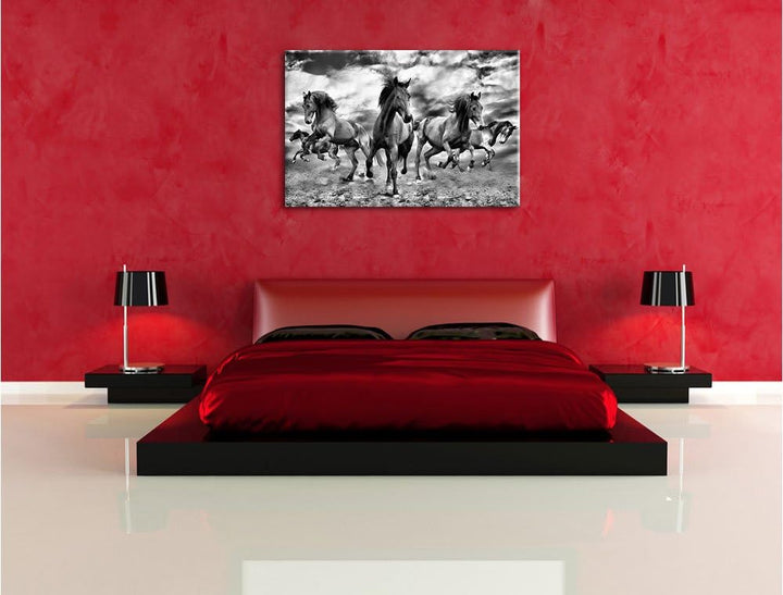 Pixxprint Monocrome, Western Pferde Cowboy, Format: 100x70 auf Leinwand, 100x70