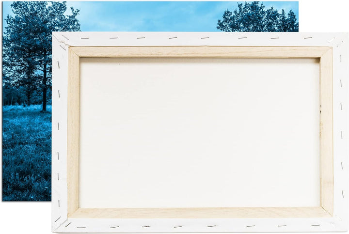 deyoli einsame Bank im Wald Format: 80x60 Effekt: Monocrome Blau als Leinwand, Motiv fertig gerahmt