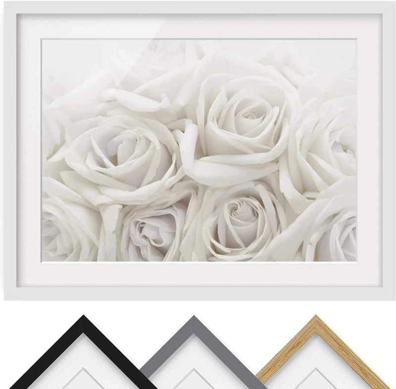 Bild mit Rahmen - Weisse Rosen - Rahmenfarbe Weiss, 30 x 40 cm 30cm x 40cm Weiss, 30cm x 40cm Weiss