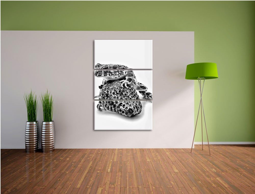 Pixxprint Monocrome, Strawberry Frog Glas Erdbeere Frosch 3-Teiler Leinwandbild 120x80 Bild auf Lein