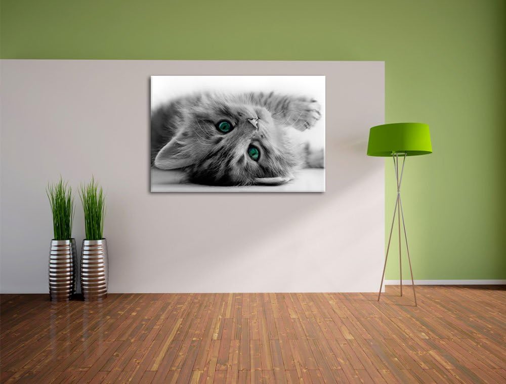Pixxprint Süsses Katzenbaby als Leinwandbild/Grösse: 100x70 cm/Wandbild/Kunstdruck/fertig bespannt,