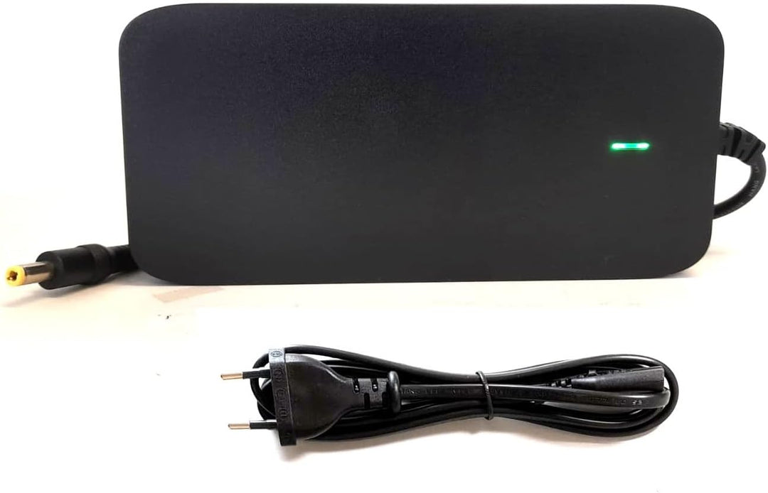 Enerpower Cycle-Life Ladegerät 41,3V 3A 125 Watt für 36V-37V Li-Ion Akkus (DC (5,5 x 2,5 mm)), DC (5