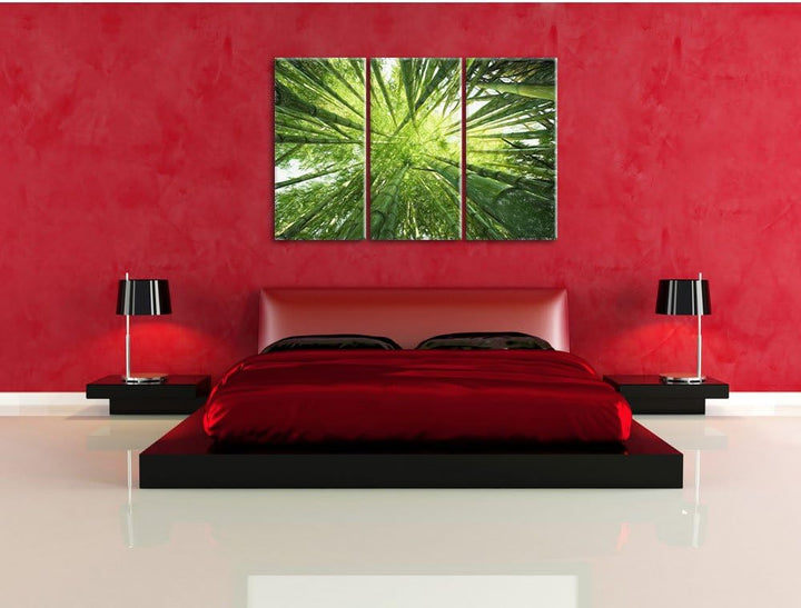 Pixxprint Bambus / 3-Teilig/Gesamtmass 120cm Leinwandbild bespannt auf Holzrahmen/Wandbild Kunstdruc