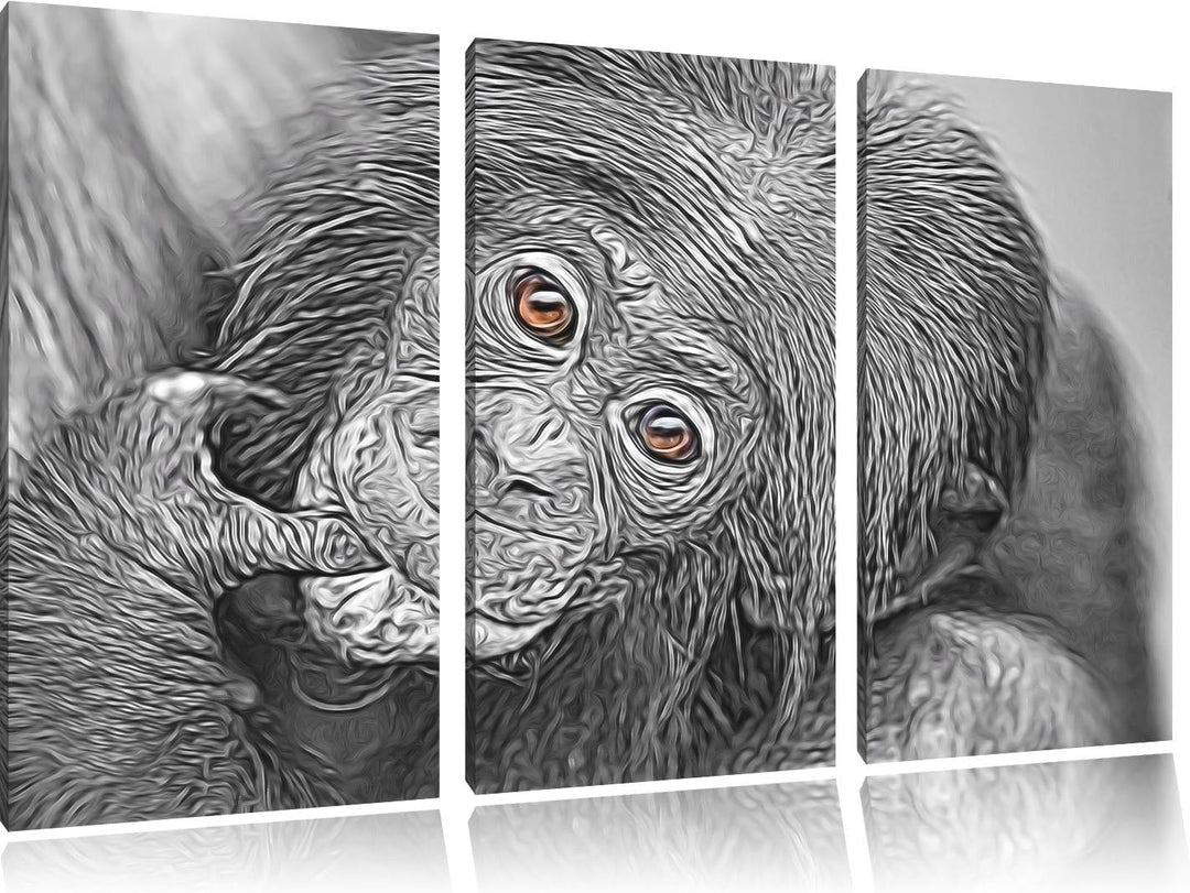 süsses Orang-Utan-Junges schwarz/weiss Deluxe 3-Teiler Leinwandbild 120x80 Bild auf Leinwand, XXL ri
