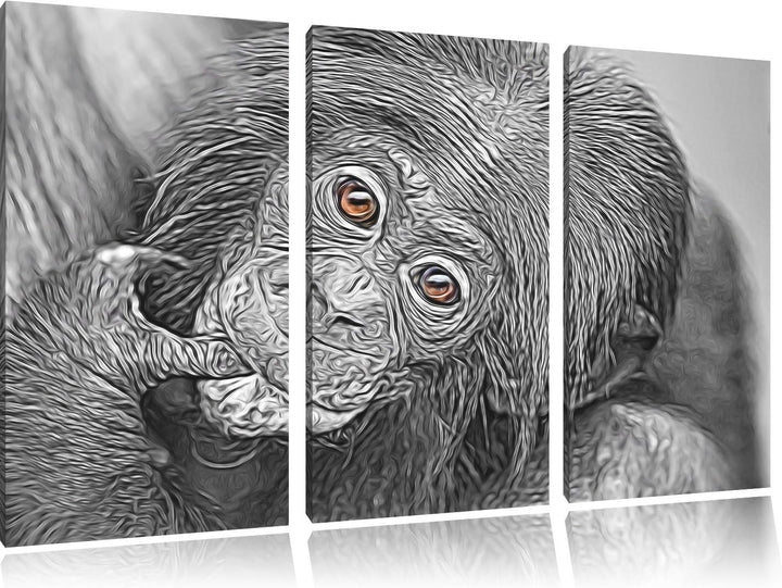 süsses Orang-Utan-Junges schwarz/weiss Deluxe 3-Teiler Leinwandbild 120x80 Bild auf Leinwand, XXL ri