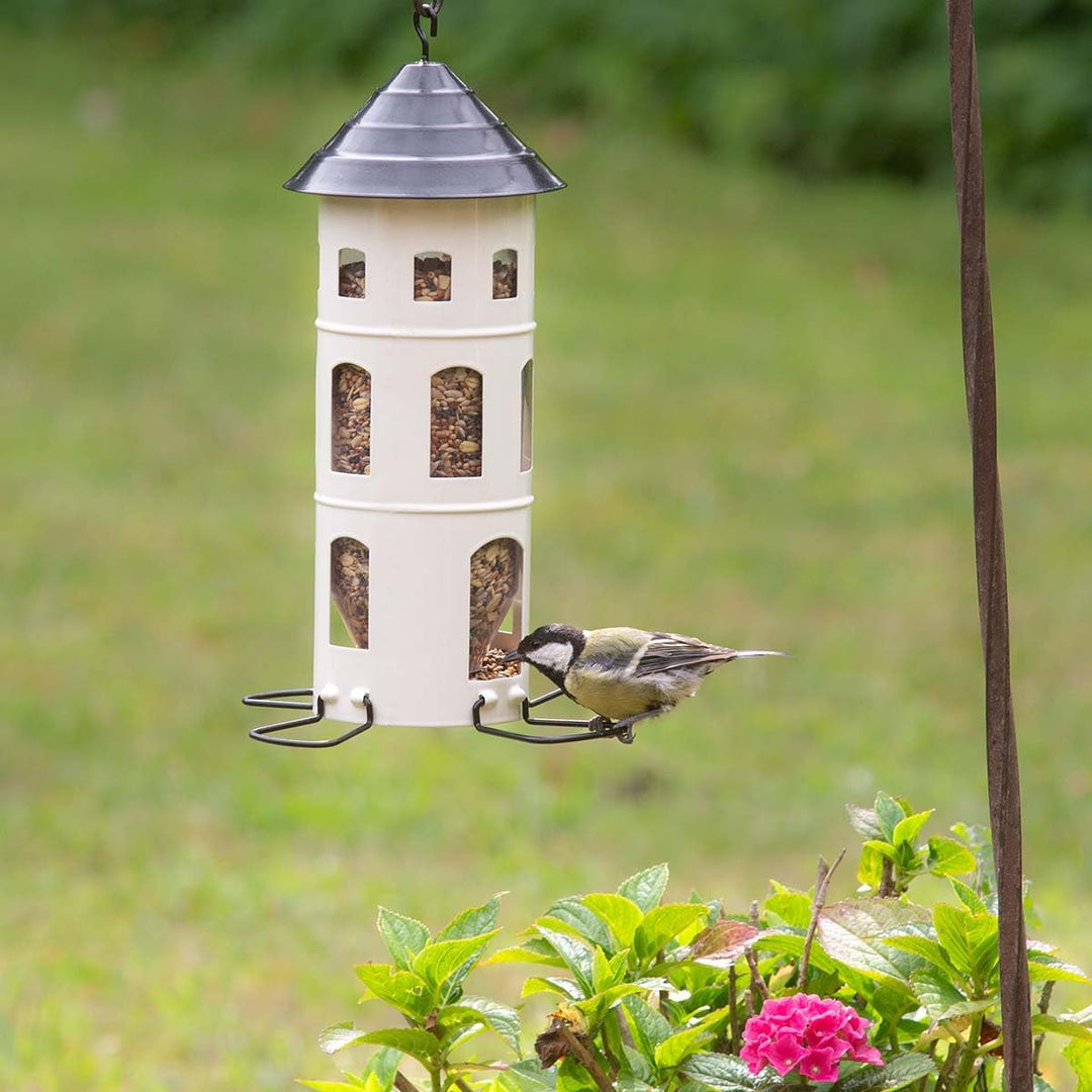 vogeltreff24 Wildvogelfutter mit Insekten und Sämereien - ausgewogene Vogelfutter-Mischung für Wildv