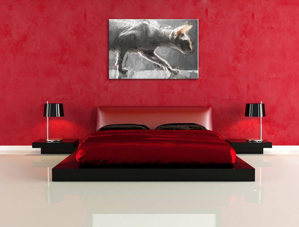 Pixxprint Einzigartige Sphynx Katze / 100x70cm Leinwandbild bespannt auf Holzrahmen/Wandbild Kunstdr