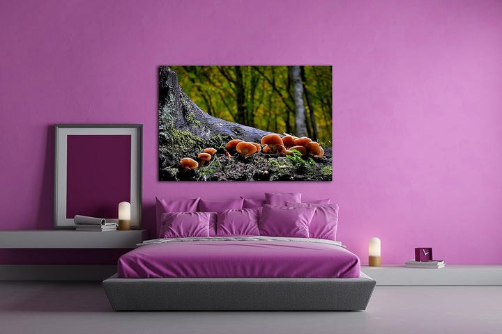 deyoli Pilze am Baumstamm Format: 80x60 als Leinwand, Motiv fertig gerahmt auf Echtholzrahmen, Hochw