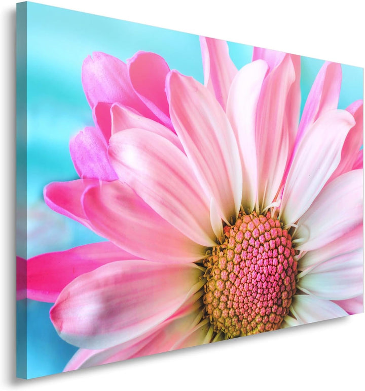 Feeby. BLUME Bild auf Leinwand Grösse: 60x80 cm, 1 Teilig Leinwanbild Wandbild Kunstdrucke Wanddeko