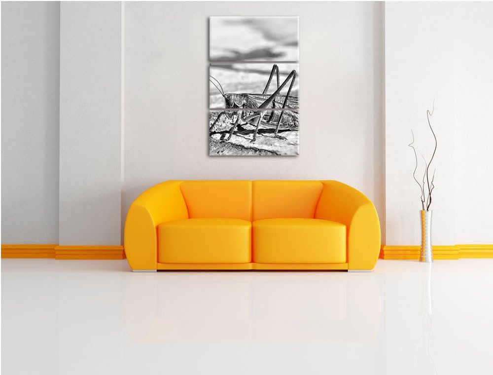 Pixxprint Elegante Heuschrecke als Leinwandbild/Grösse: 3 Teilig (120x80) cm/Wandbild/Kunstdruck/fer