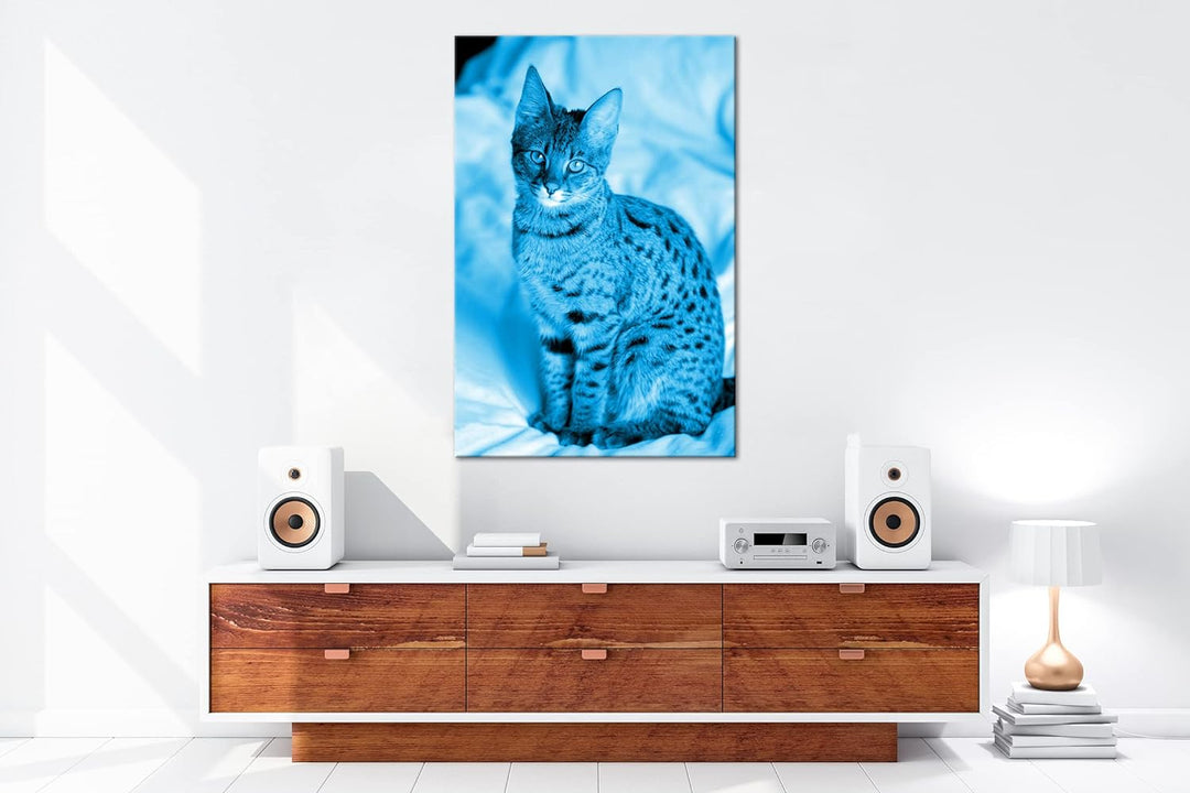 deyoli süsse Savannah Katze Format 80x60 Effekt: Monocrome Blau als Leinwandbild, Motiv fertig gerah