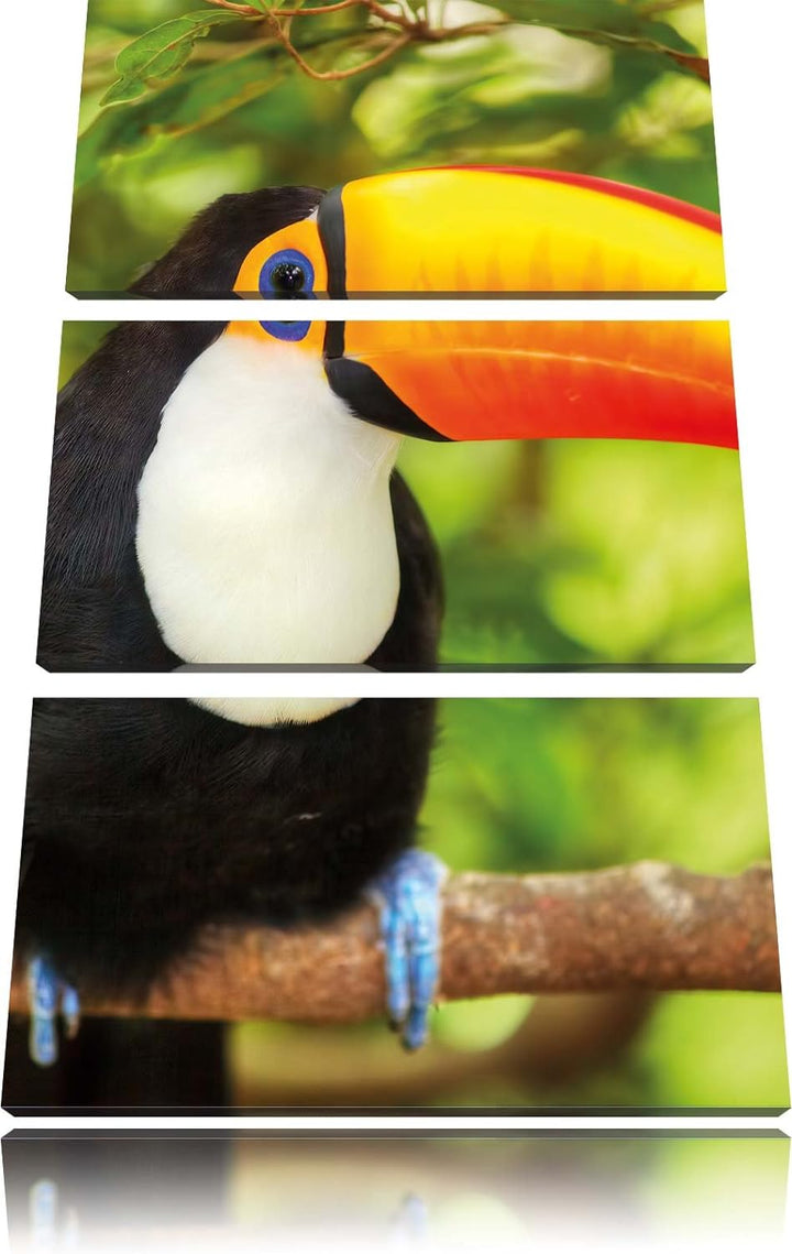 Pixxprint Party Eulen als Leinwandbild/Grösse: 3 Teilig (120x80) / Wandbild/Kunstdruck/fertig bespan