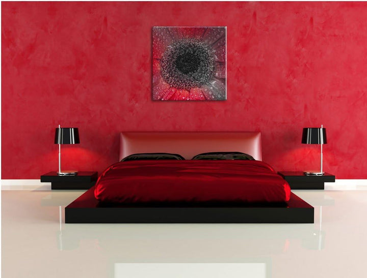 Pixxprint Rote Gerbera mit Wassertropfen als Leinwandbild/Grösse: 70x70 cm/Wandbild/Kunstdruck/ferti