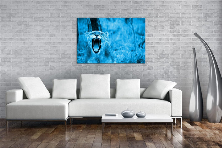 deyoli brüllende Löwin Format 80x60 Effekt: Monocrome Blau als Leinwandbild, Motiv fertig gerahmt au