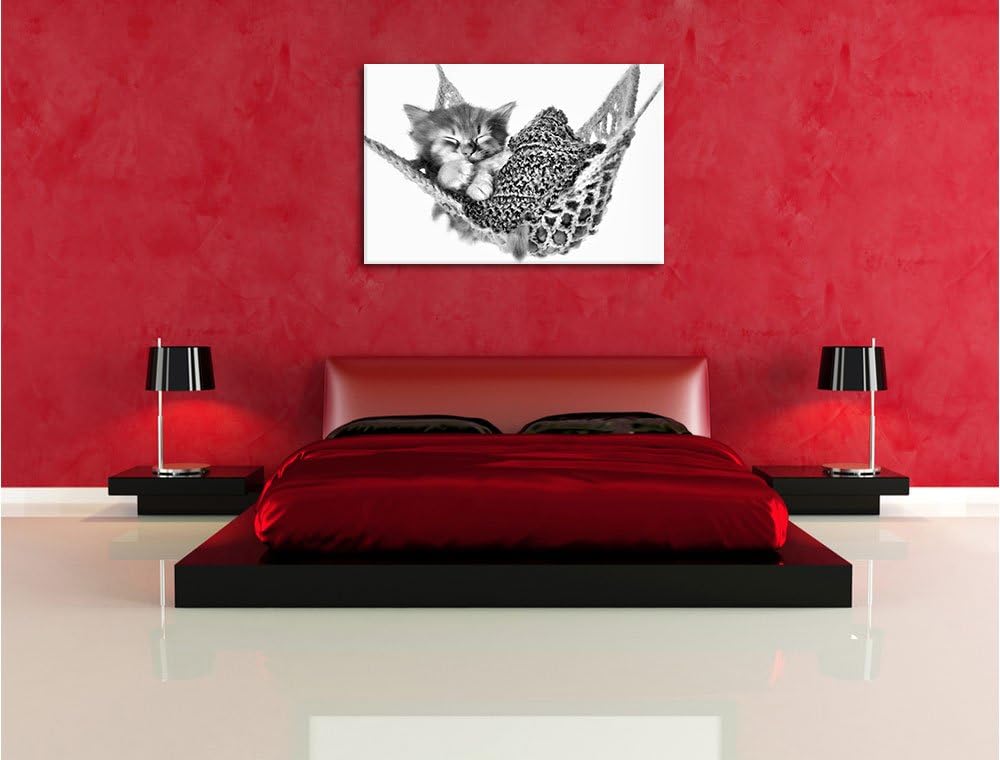 Pixxprint Katzenbaby Hängematte als Leinwandbild/Grösse: 100x70 / Wandbild/Kunstdruck/fertig bespann
