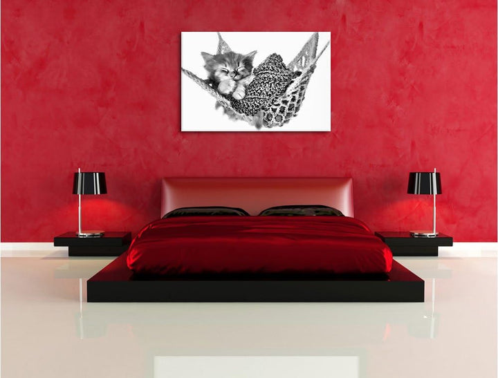 Pixxprint Katzenbaby Hängematte als Leinwandbild/Grösse: 100x70 / Wandbild/Kunstdruck/fertig bespann