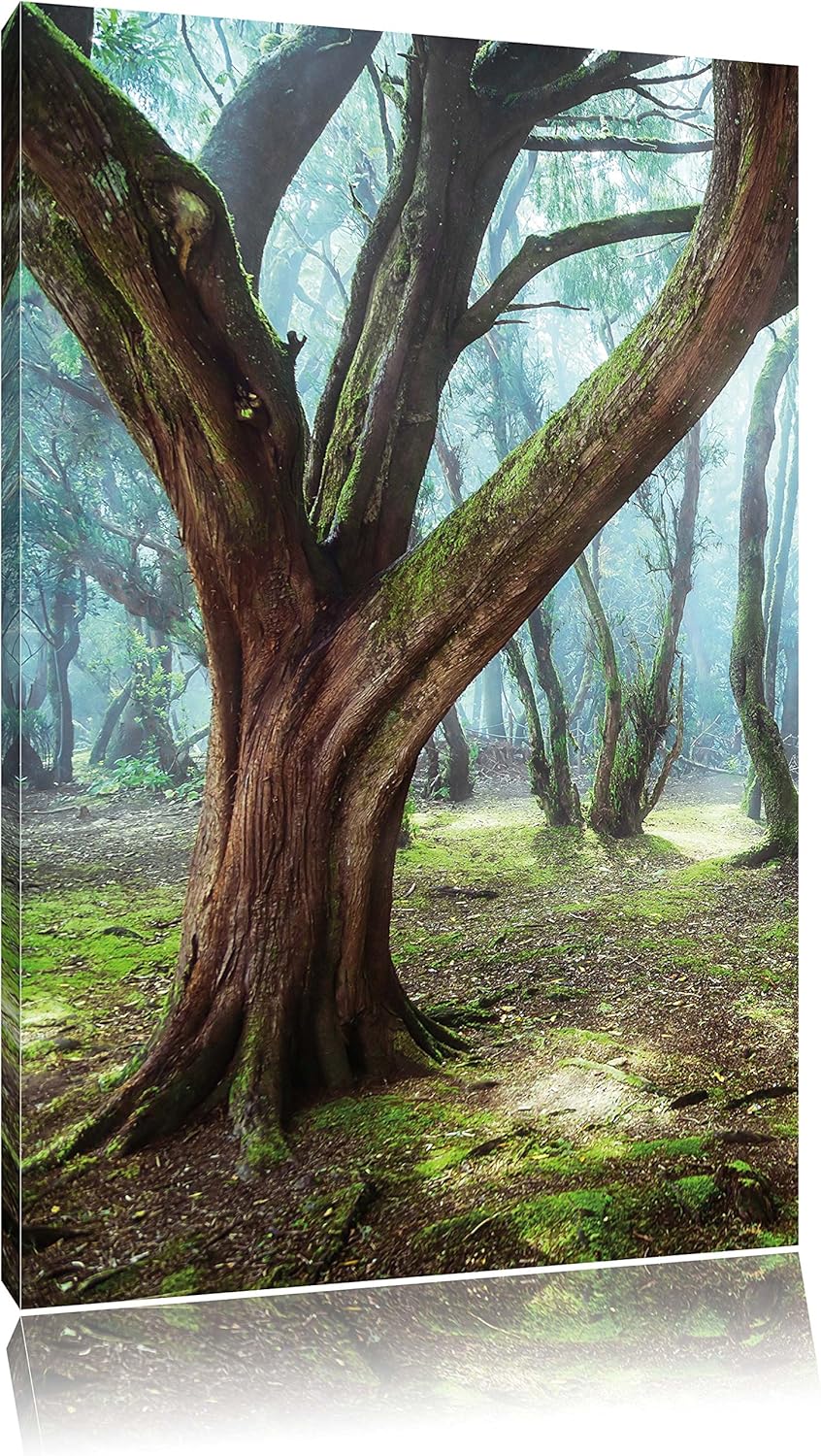 Pixxprint Wald, Format: 100x70 auf Leinwand, XXL riesige Bilder fertig gerahmt mit Keilrahmen, Kunst