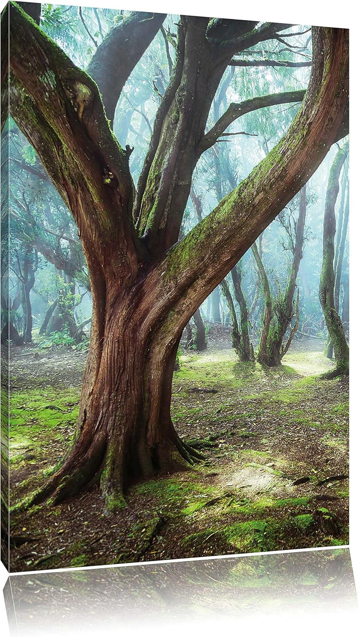 Pixxprint Wald, Format: 100x70 auf Leinwand, XXL riesige Bilder fertig gerahmt mit Keilrahmen, Kunst