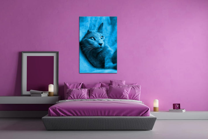 deyoli süsse Katze mit Grünen Augen Format 80x60 Effekt: Monocrome Blau als Leinwandbild, Motiv fert