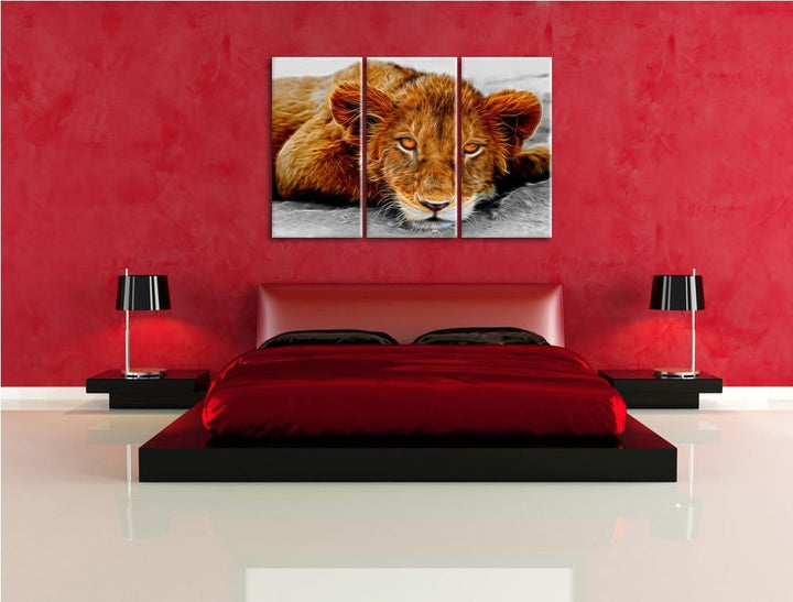 schläfriger junger Löwe schwarz/weiss Deluxe 3-Teiler Leinwandbild 120x80 Bild auf Leinwand, XXL rie