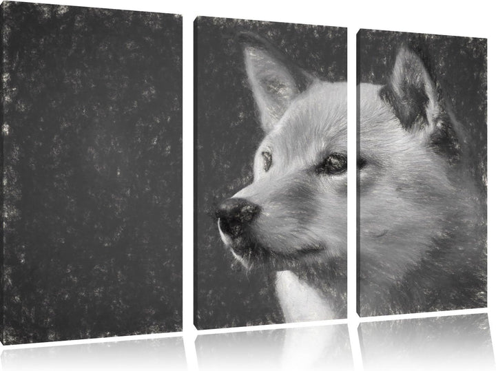anmutiger Finnen-Spitz im Gras NewArt 3-Teiler Leinwandbild 120x80 Bild auf Leinwand, XXL riesige Bi