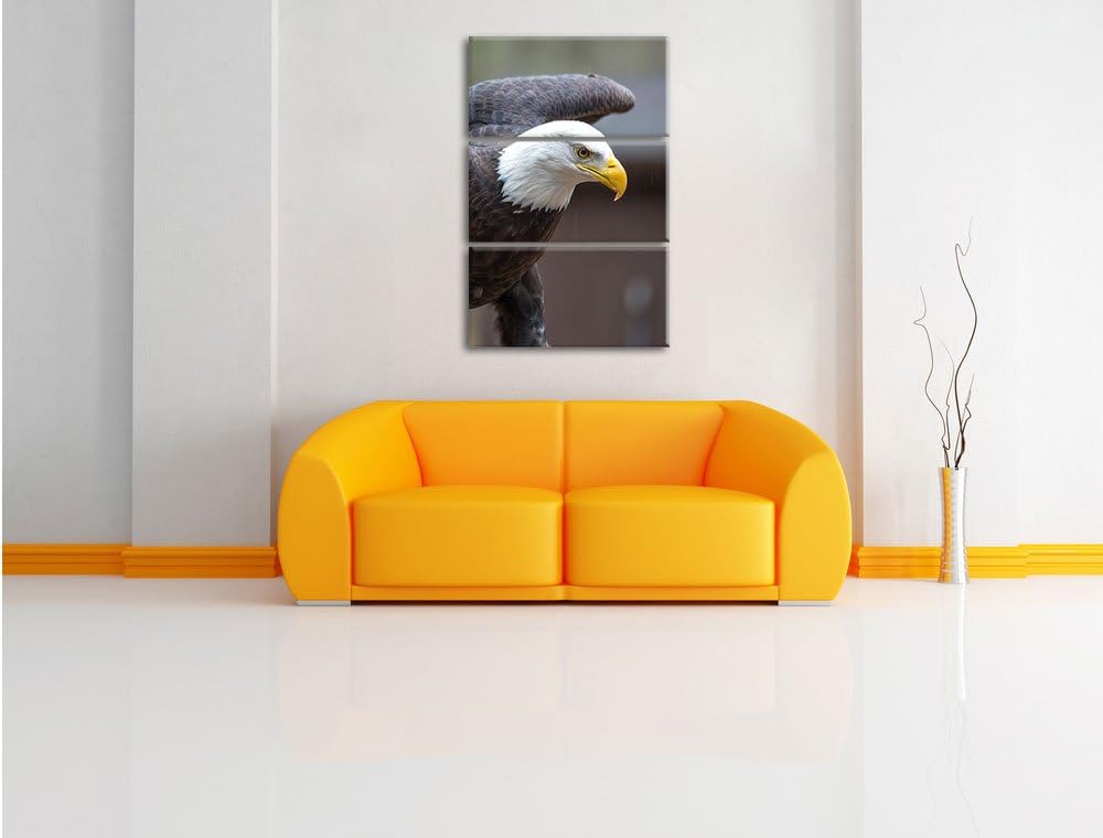 Adler 3-Teiler Leinwandbild 120x80 Bild auf Leinwand, XXL riesige Bilder fertig gerahmt mit Keilrahm
