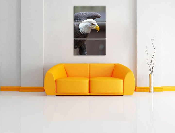 Adler 3-Teiler Leinwandbild 120x80 Bild auf Leinwand, XXL riesige Bilder fertig gerahmt mit Keilrahm