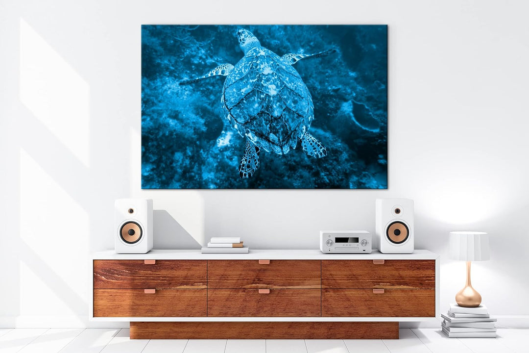 deyoli anmutige Schildkröte Format 80x60 Effekt: Monocrome Blau als Leinwandbild, Motiv fertig gerah