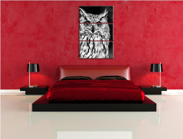 Pixxprint aufmerksame Waldohreule / 3-Teilig/Gesamtmass 120cm Leinwandbild bespannt auf Holzrahmen/W