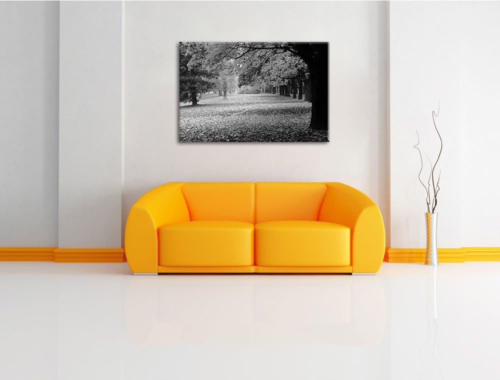 schöner Park im Herbst schwarz/weiss Format: 100x70 auf Leinwand, XXL riesige Bilder fertig gerahmt