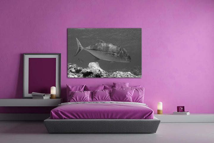 deyoli Blauer Fisch im klaren Wasser Effekt: Schwarz/Weiss Format: 80x60 als Leinwandbild, Motiv fer