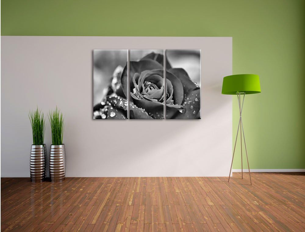 Pixxprint Rose mit Wassertropfen als Leinwandbild/Grösse: 3 Teilig (120x80) cm/Wandbild/Kunstdruck/f
