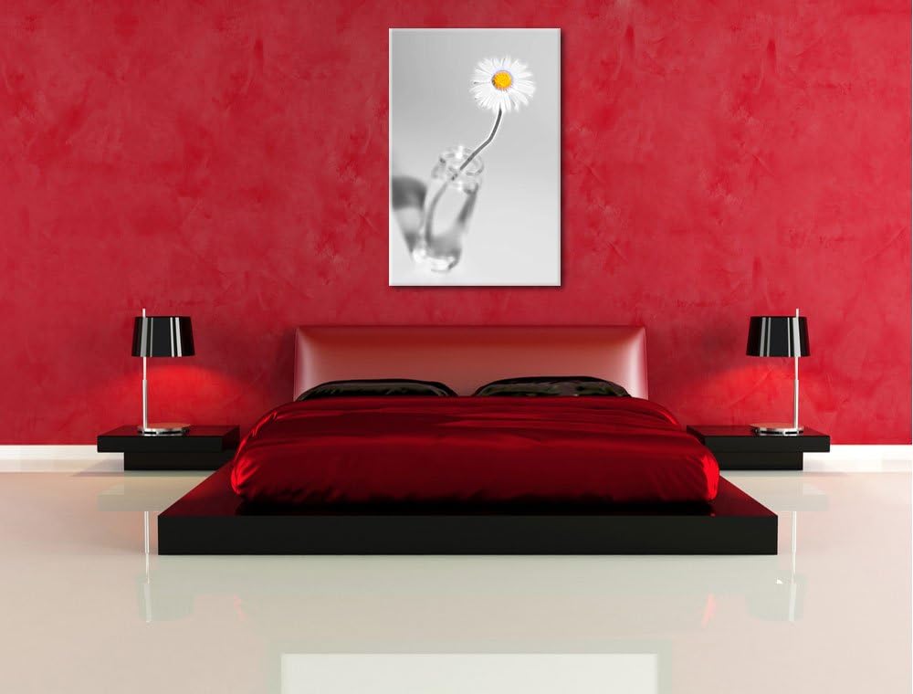 zartes Gänseblümchen im stilvollen Glas schwarz/weiss Deluxe Format: 100x70 cm auf Leinwand, XXL rie