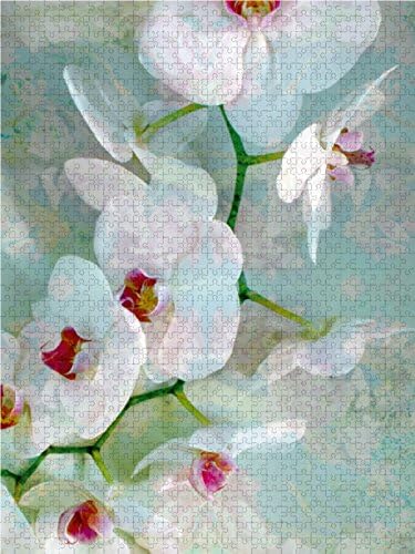 CALVENDO Puzzle Weiss Blaue Orchidee 1000 Teile Lege-Grösse 48 x 64 cm Foto-Puzzle Bild von Alaya GA