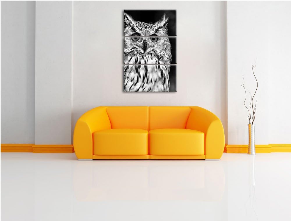 Pixxprint aufmerksame Waldohreule / 3-Teilig/Gesamtmass 120cm Leinwandbild bespannt auf Holzrahmen/W