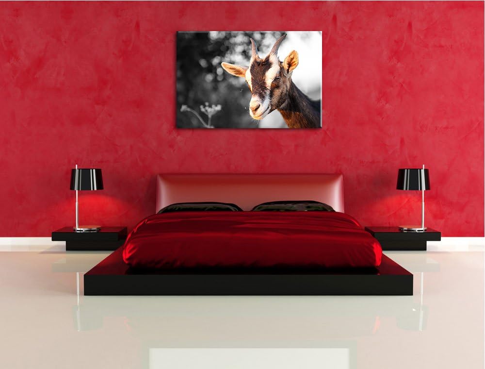 süsse Ziege schwarz/weiss Format: 100x70 auf Leinwand, XXL riesige Bilder fertig gerahmt mit Keilrah