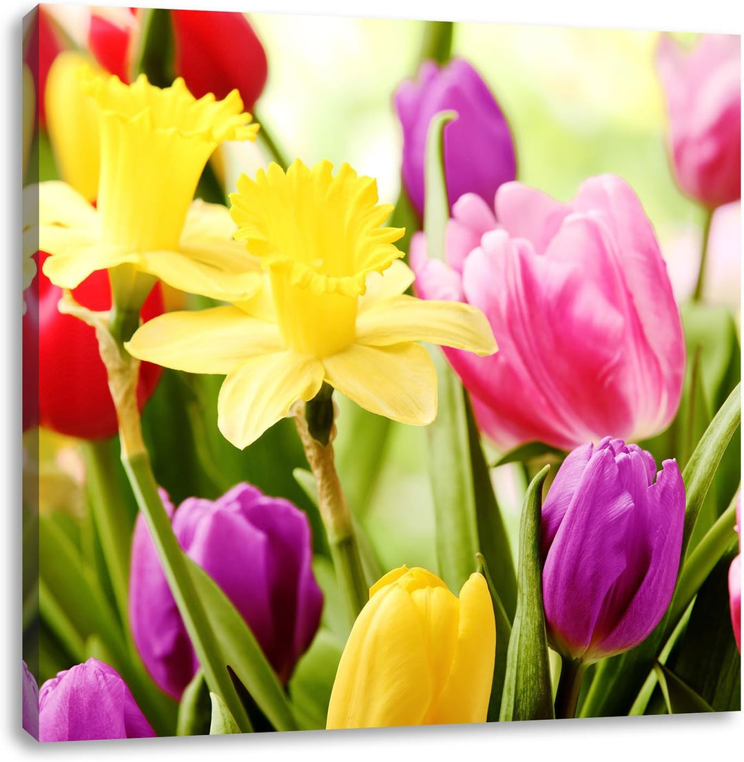 Pixxprint Farbenfrohe Osterglocken und Tulpen, Format: 70x70 auf Leinwand, 70x70