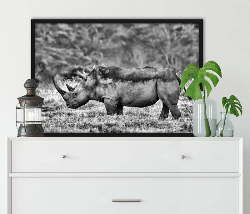 Generisch grosses Nashorn in der Savanne, Poster im Bilderrahmen / Format: 55x40cm / Kunstdruck gera