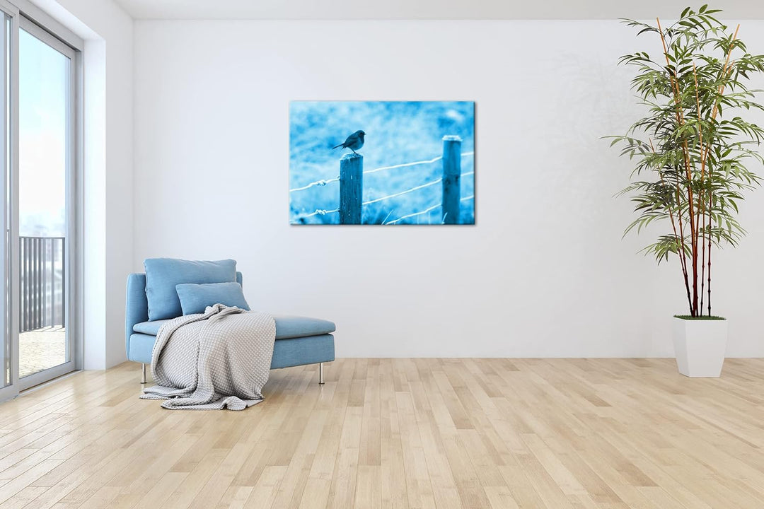 deyoli niedlicher kleiner Vogel auf einem Weidenzaun Format 80x60 Effekt: Monocrome Blau als Leinwan